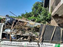 Best Attic Cleanout  in Storm Lake, IA