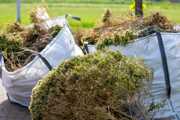 Best Hoarding Cleanup  in Storm Lake, IA